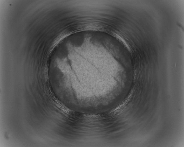 X0000097661019200803280946