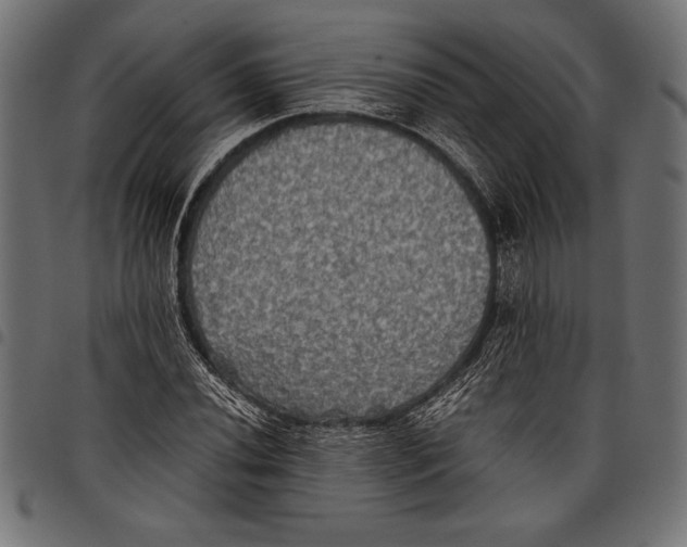 X0000097661020200803280946
