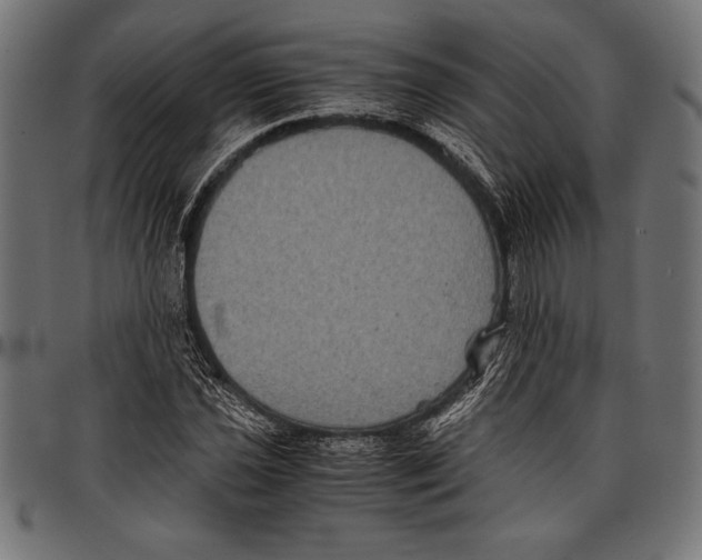 X0000097661021200803280946