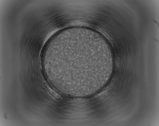 X0000097661022200803280946