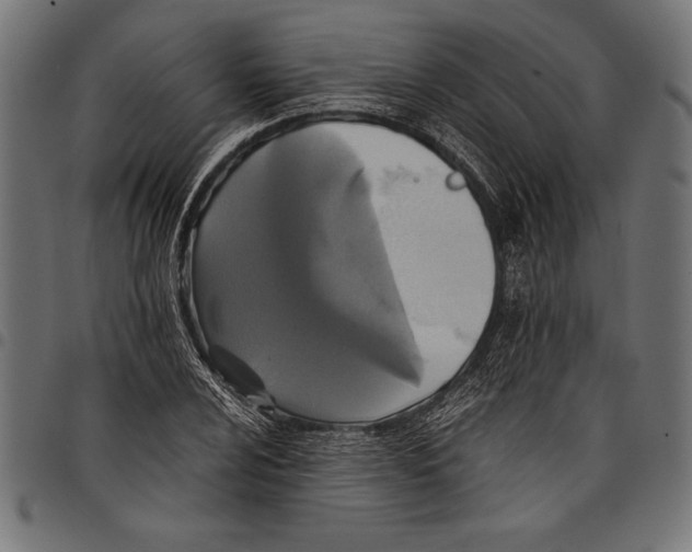 X0000097661024200803280946