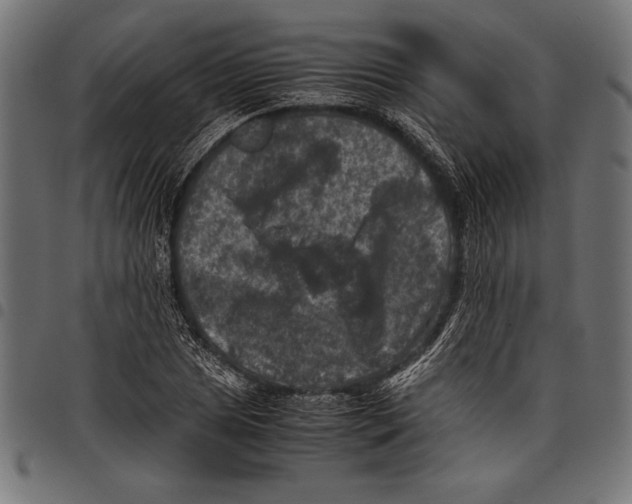 X0000097661025200803280946