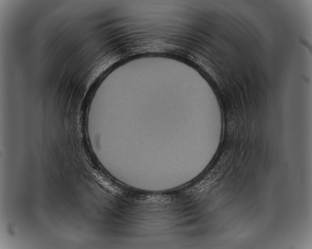 X0000097661026200803280946