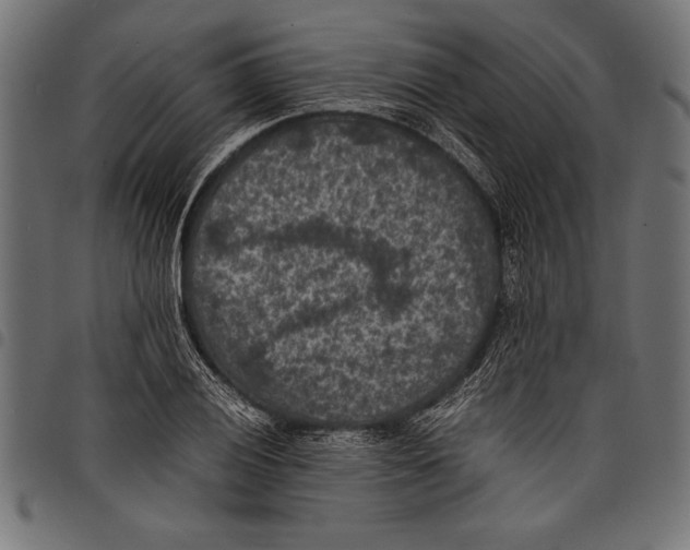 X0000097661028200803280946