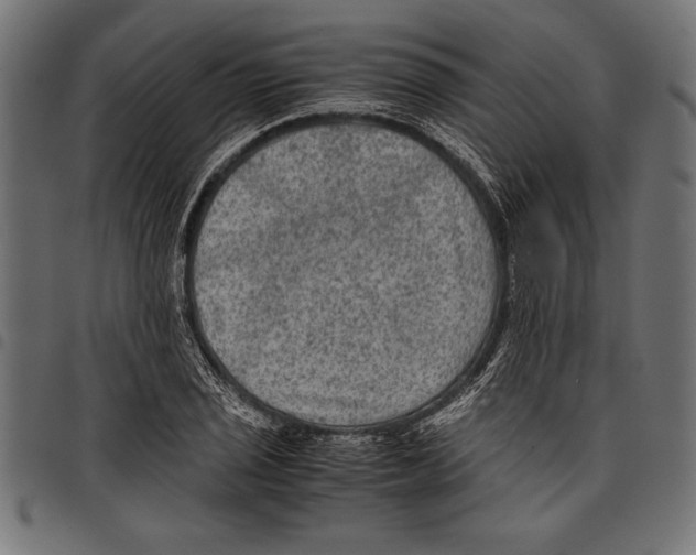 X0000097661029200803280946