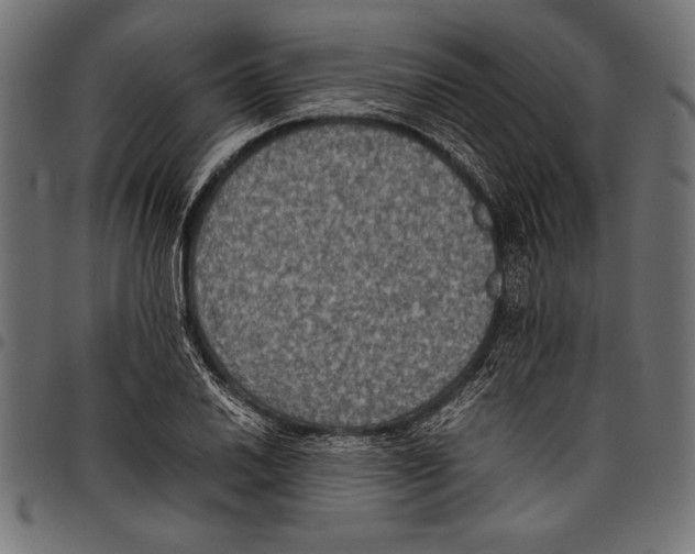 X0000097661030200803280946
