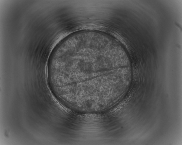 X0000097661032200803280946