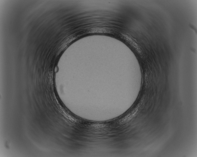 X0000097661033200803280946