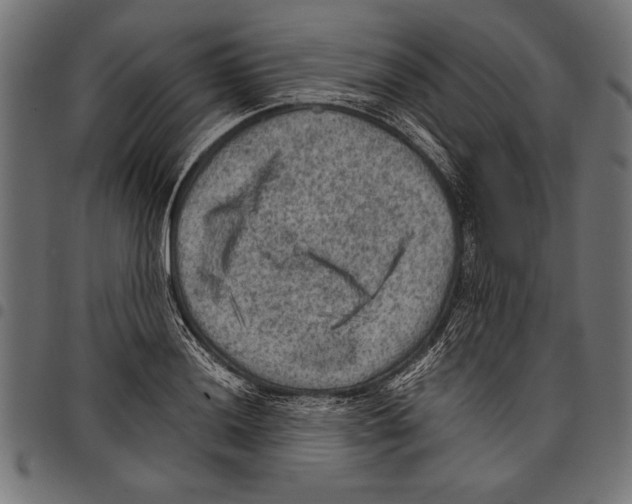 X0000097661036200803280946