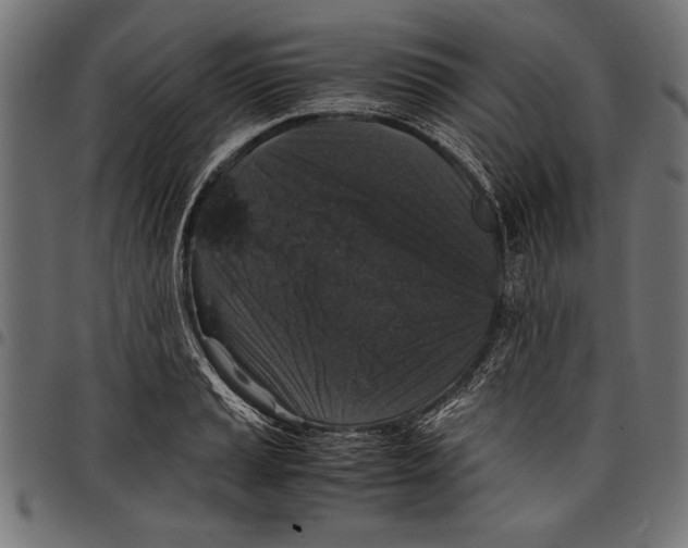 X0000097661037200803280946