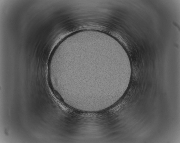 X0000097661040200803280946