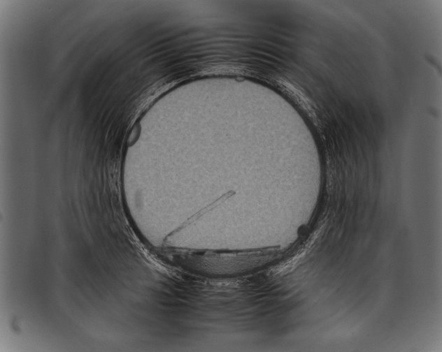 X0000097661041200803280946