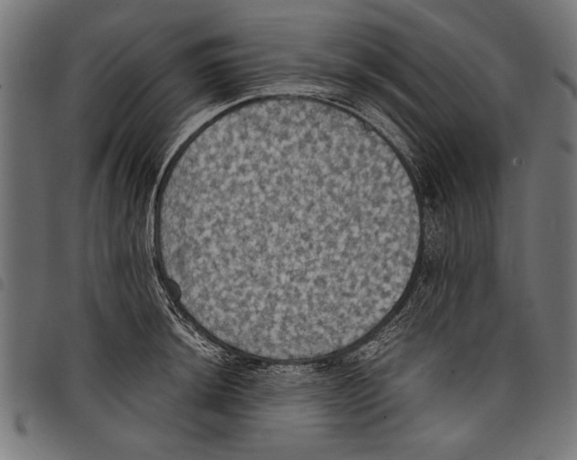 X0000097661044200803280946