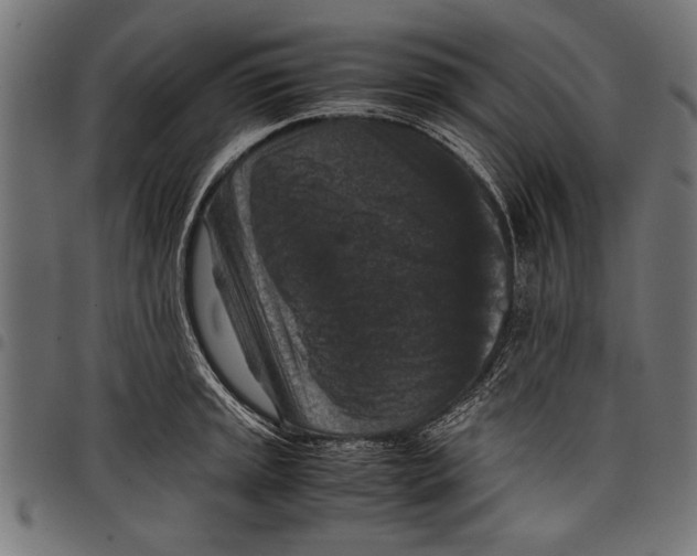 X0000097661045200803280946