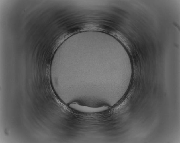 X0000097661049200803280947