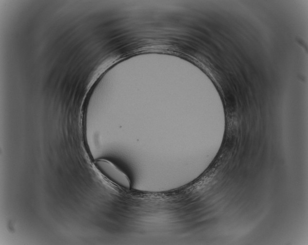 X0000097661050200803280947
