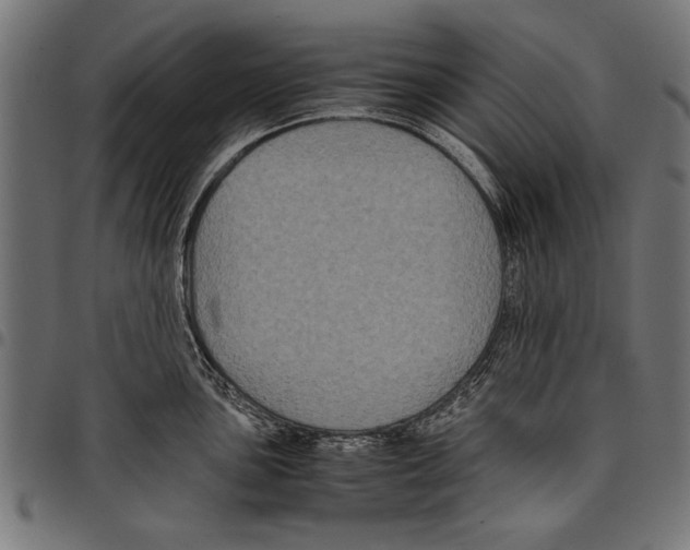X0000097661051200803280947
