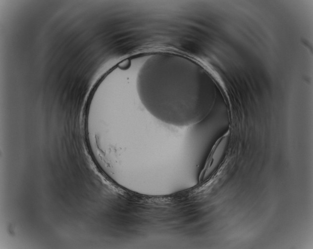 X0000097661053200803280947