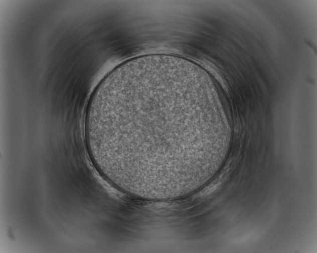 X0000097661054200803280947