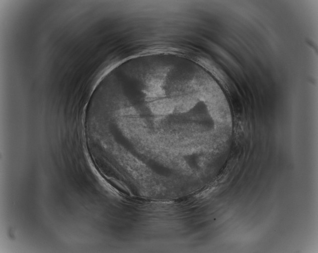 X0000097661055200803280947