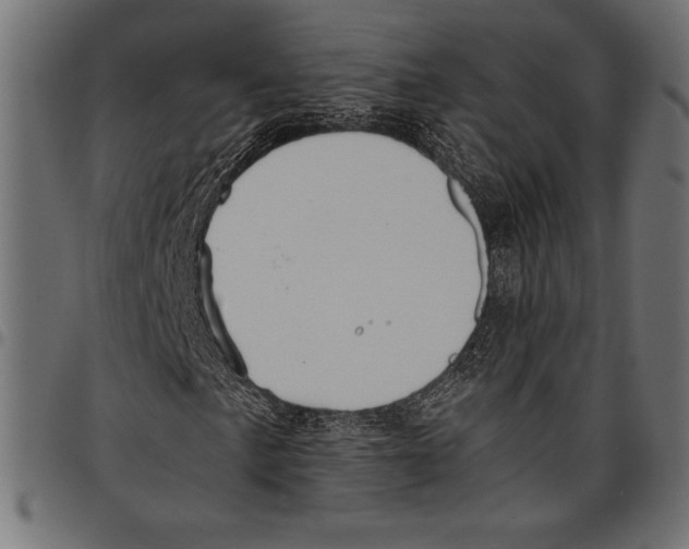 X0000097661057200803280946