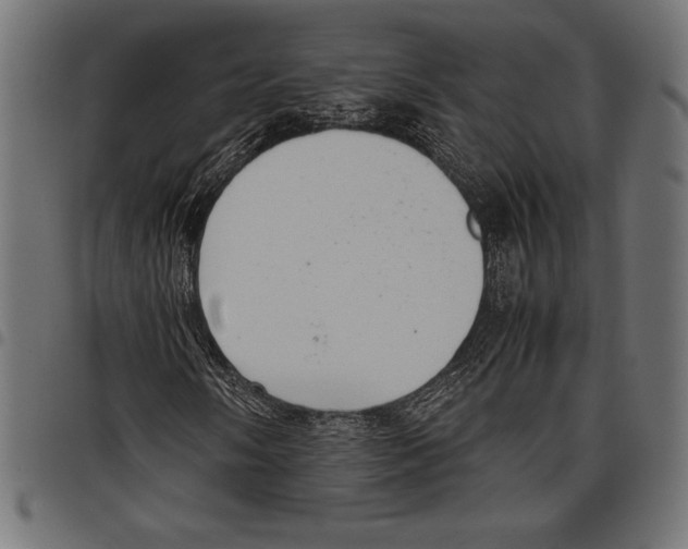 X0000097661058200803280946