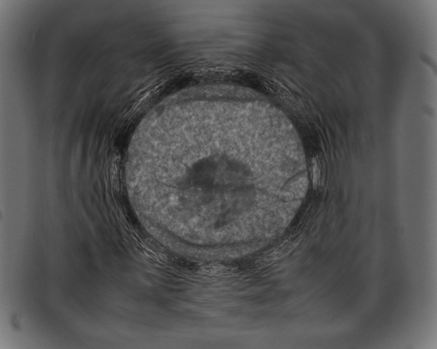 X0000097661059200803280946