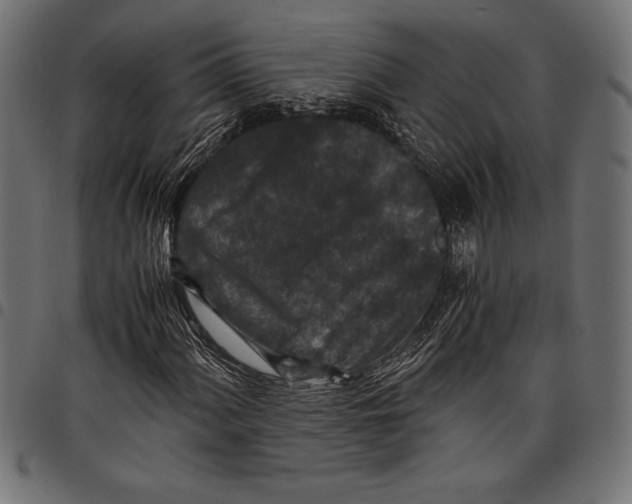 X0000097661060200803280946