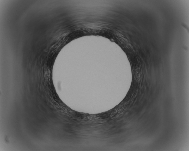 X0000097661061200803280946