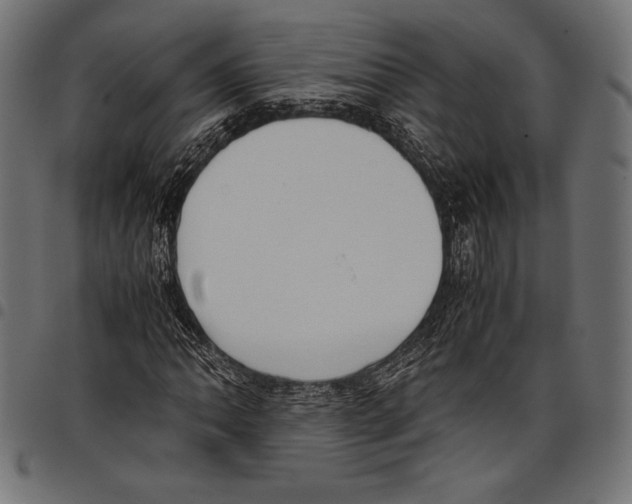 X0000097661062200803280946