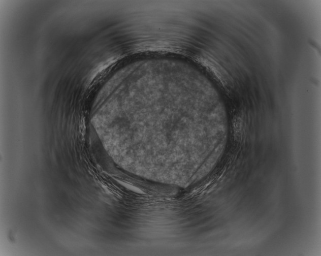 X0000097661064200803280946