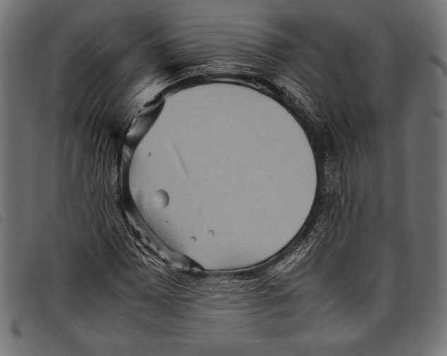 X0000097661065200803280946