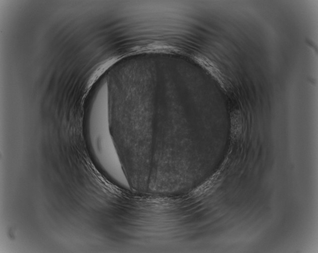 X0000097661066200803280946