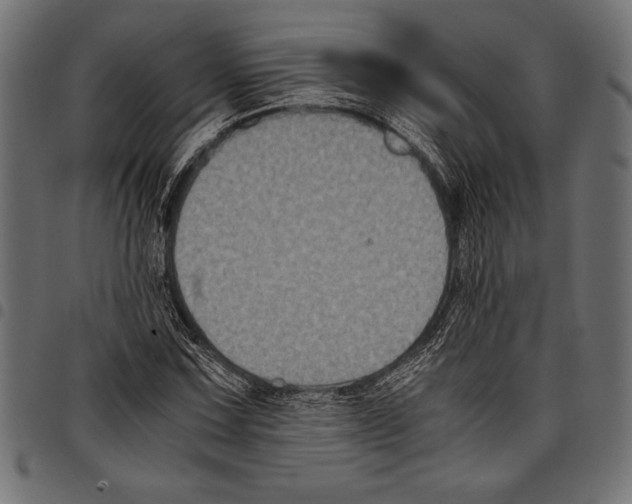 X0000097661067200803280946