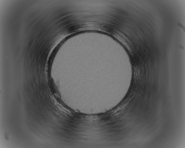X0000097661068200803280946