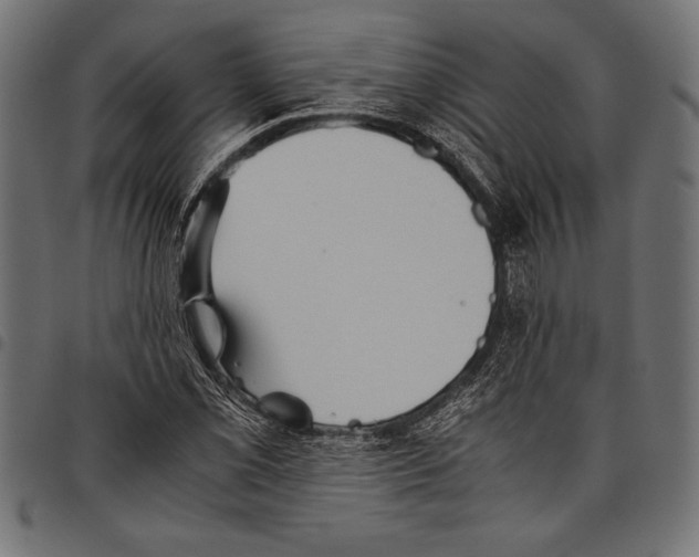 X0000097661069200803280946