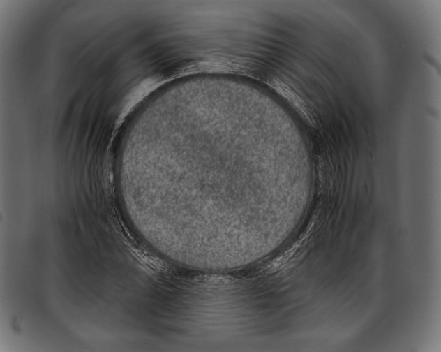 X0000097661070200803280946