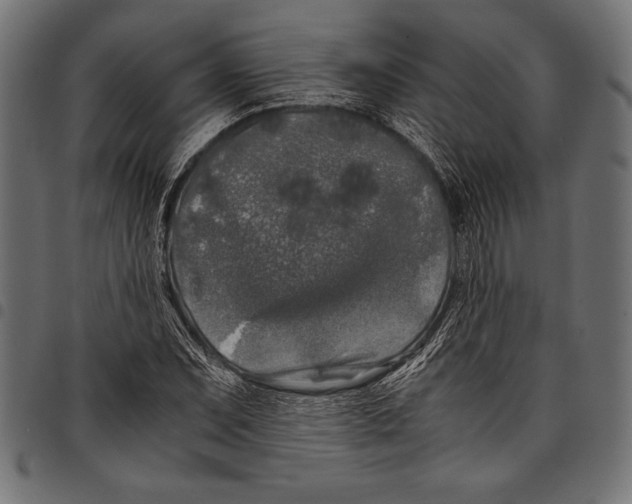 X0000097661071200803280946