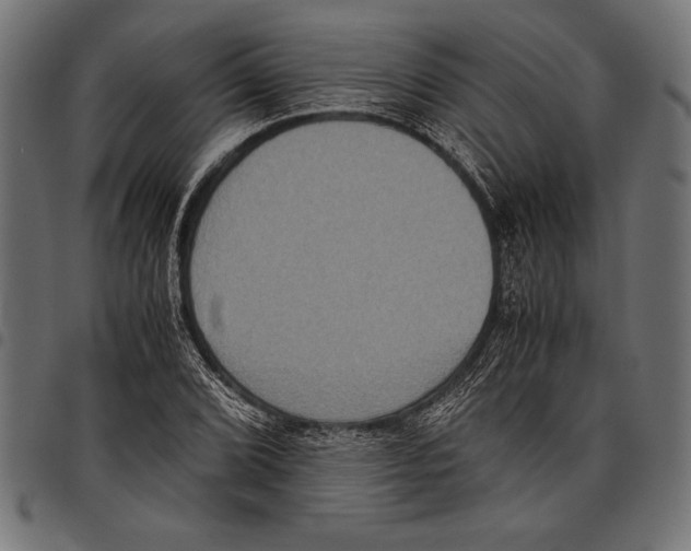 X0000097661072200803280946