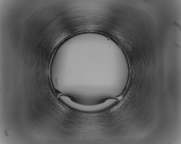 X0000097661073200803280946