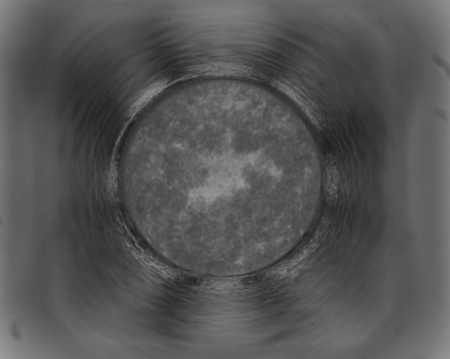 X0000097661074200803280946