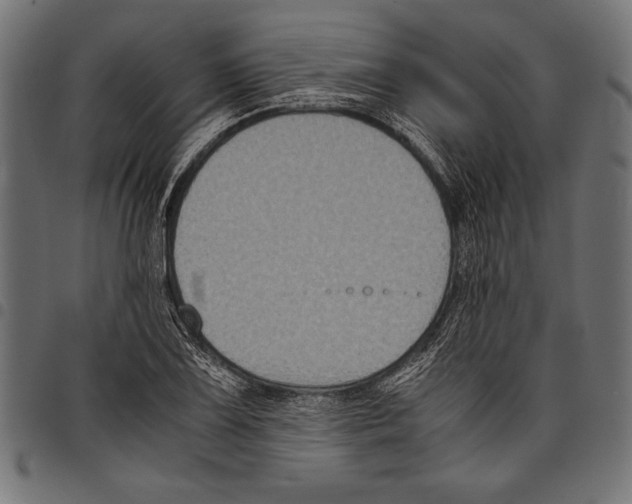 X0000097661075200803280946