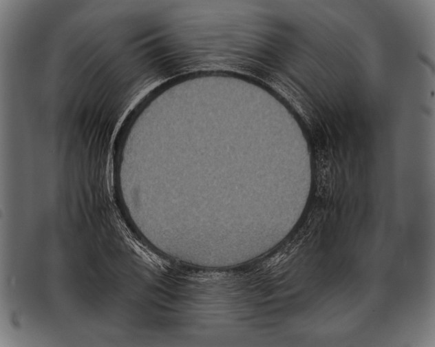 X0000097661076200803280946