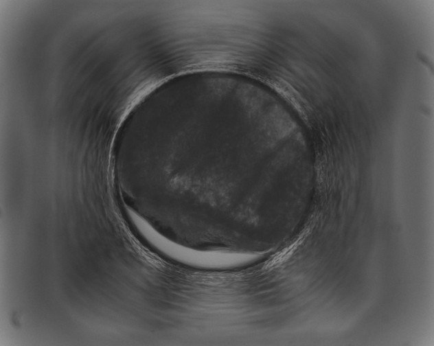 X0000097661077200803280946
