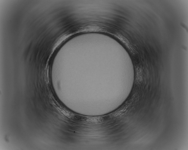X0000097661078200803280946