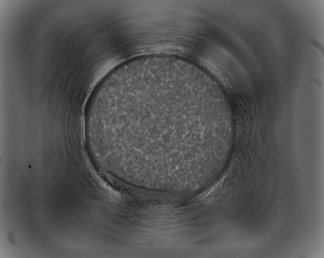 X0000097661079200803280946