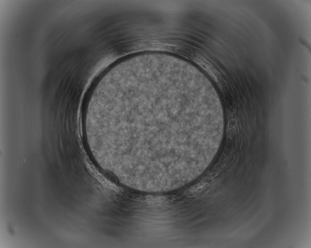 X0000097661080200803280946