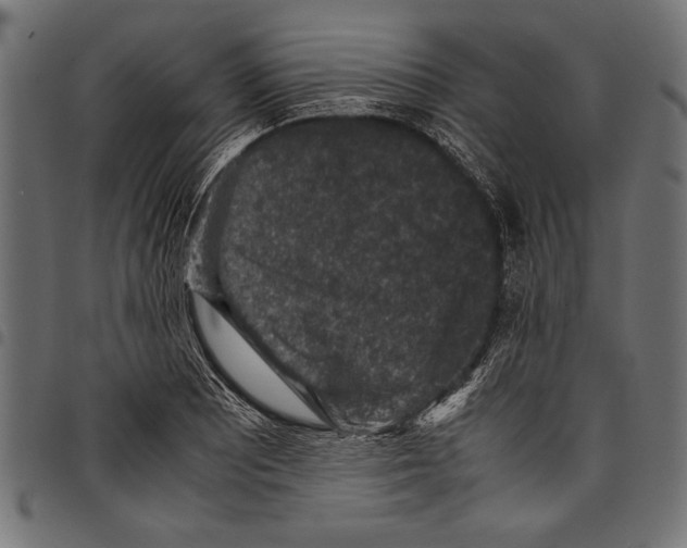 X0000097661081200803280946