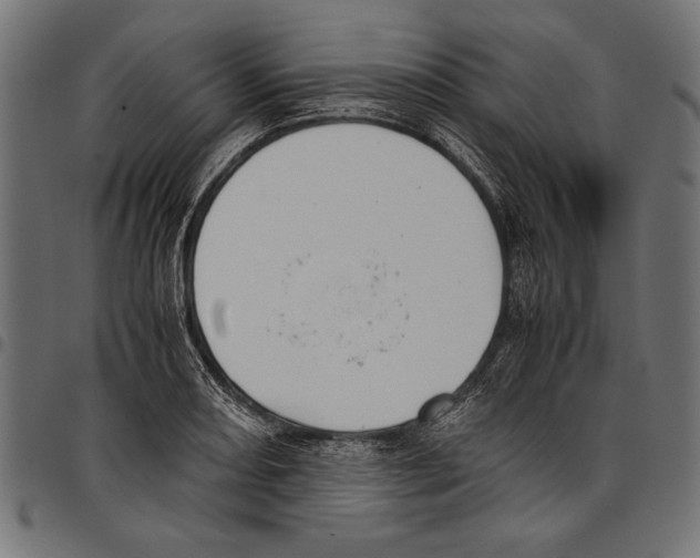 X0000097661082200803280946