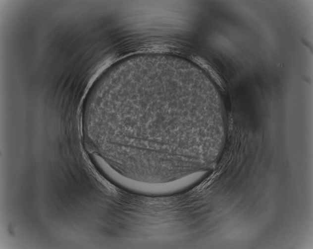 X0000097661083200803280946